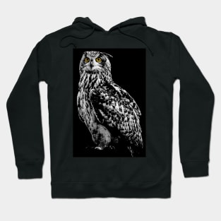 Bengal owl Hoodie